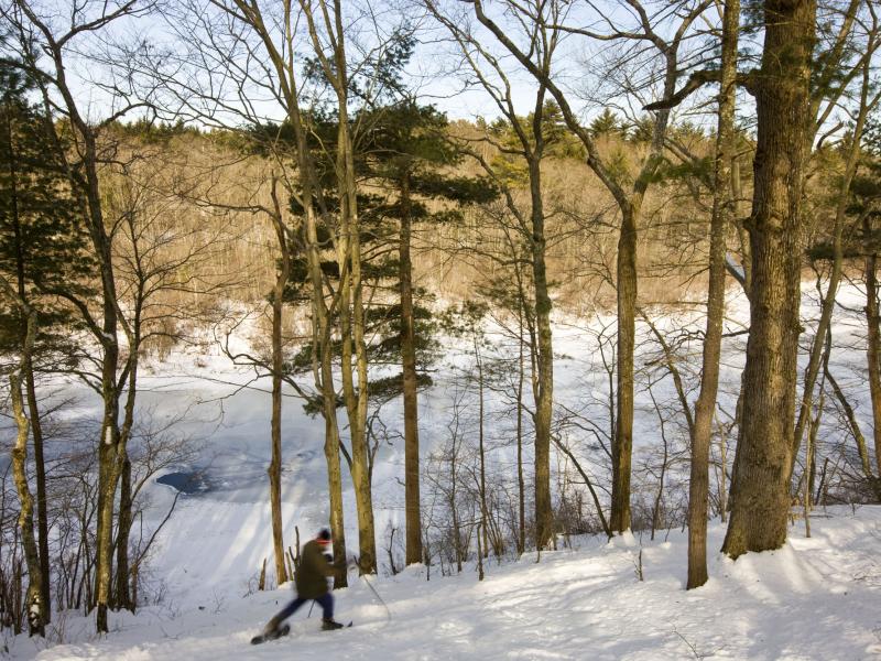 Tucker Preserve